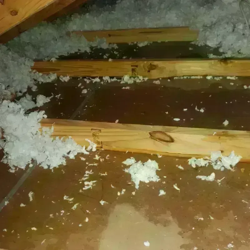 Attic Water Damage in Oneonta, AL