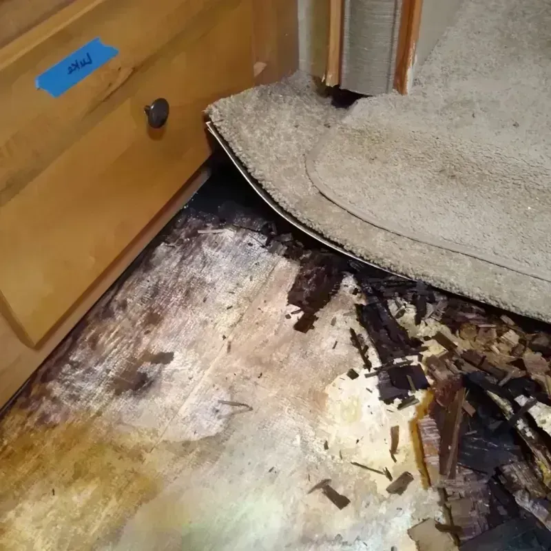 Wood Floor Water Damage in Oneonta, AL